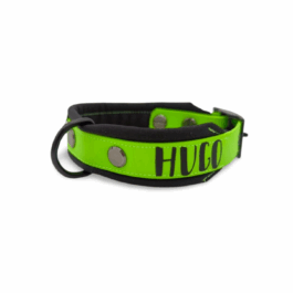 Biothanehalsband für kleine Hunde | gepolstert mit Name