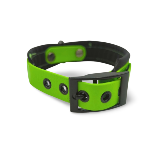 Biothanehalsband für kleine Hunde | gepolstert mit Name – Bild 2