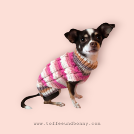 Pulli für Molly | reserviert