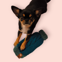 Welpen und Junghunde