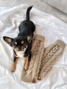 Golglitzer-Set | reserviert