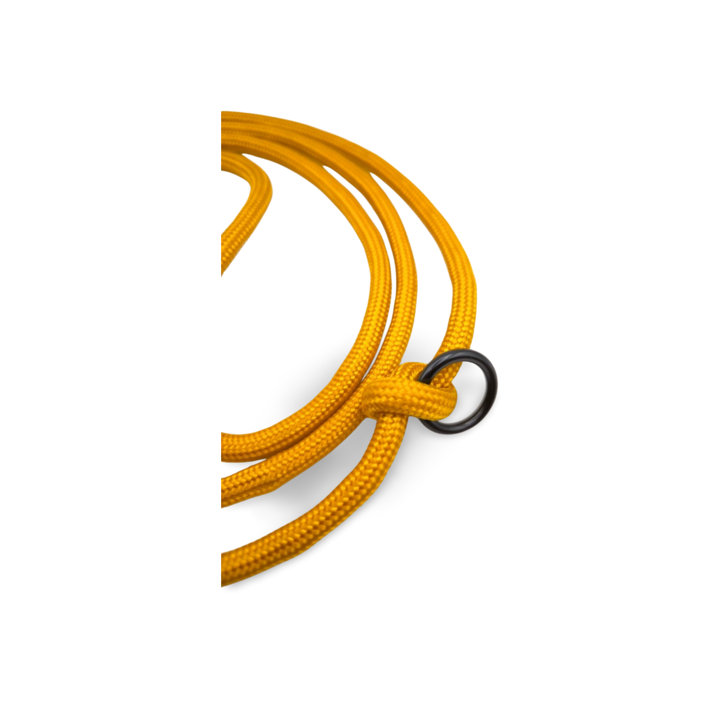 Hundeleine aus 6mm Paracord 1,8 Meter – goldenrod | verstellbar