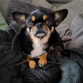 Strickpullover – für Lilly | grau | RL35