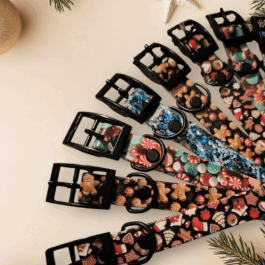 Halsband Biothane | verstellbar | weihnachtlich