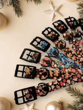 Halsband Biothane | verstellbar | weihnachtlich