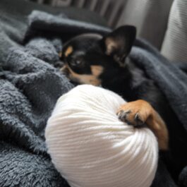 Strickpullover mit Rollkragen | Wunschpullover für Maja & Holly | RL28/29 | Geschirrloch (Y)