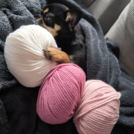 Strickpullover mit Rollkragen | Wunschpullover für Maja & Holly | RL28/29 | Geschirrloch (Y)