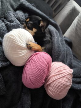 Strickpullover mit Rollkragen | Wunschpullover für Maja & Holly | RL28/29 | Geschirrloch (Y)