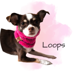 Loops