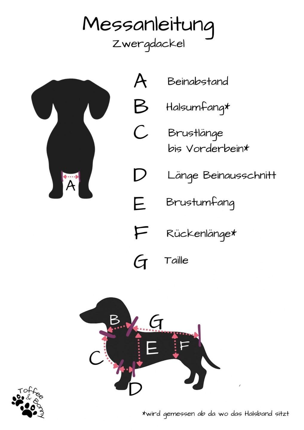 Messanleitung Strickpullover Zwergdackel