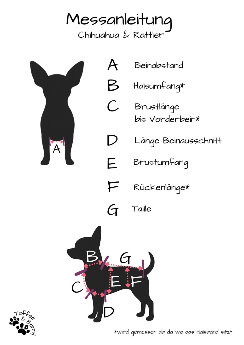Messanleitung für Strickpullover Chihuahua