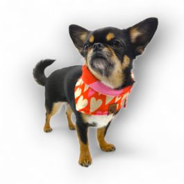 Hundehalstuch | Herzen