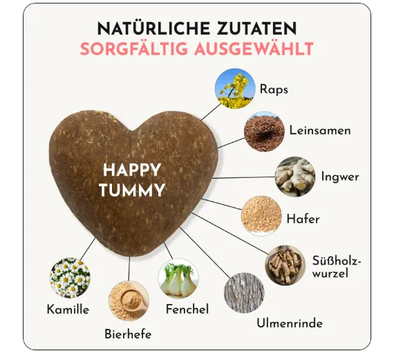 DoggyLove | Happy Tummy – Bild 2