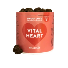 Vital Heart | vegan