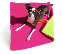 Kuscheldecke für Unterwegs| Neon