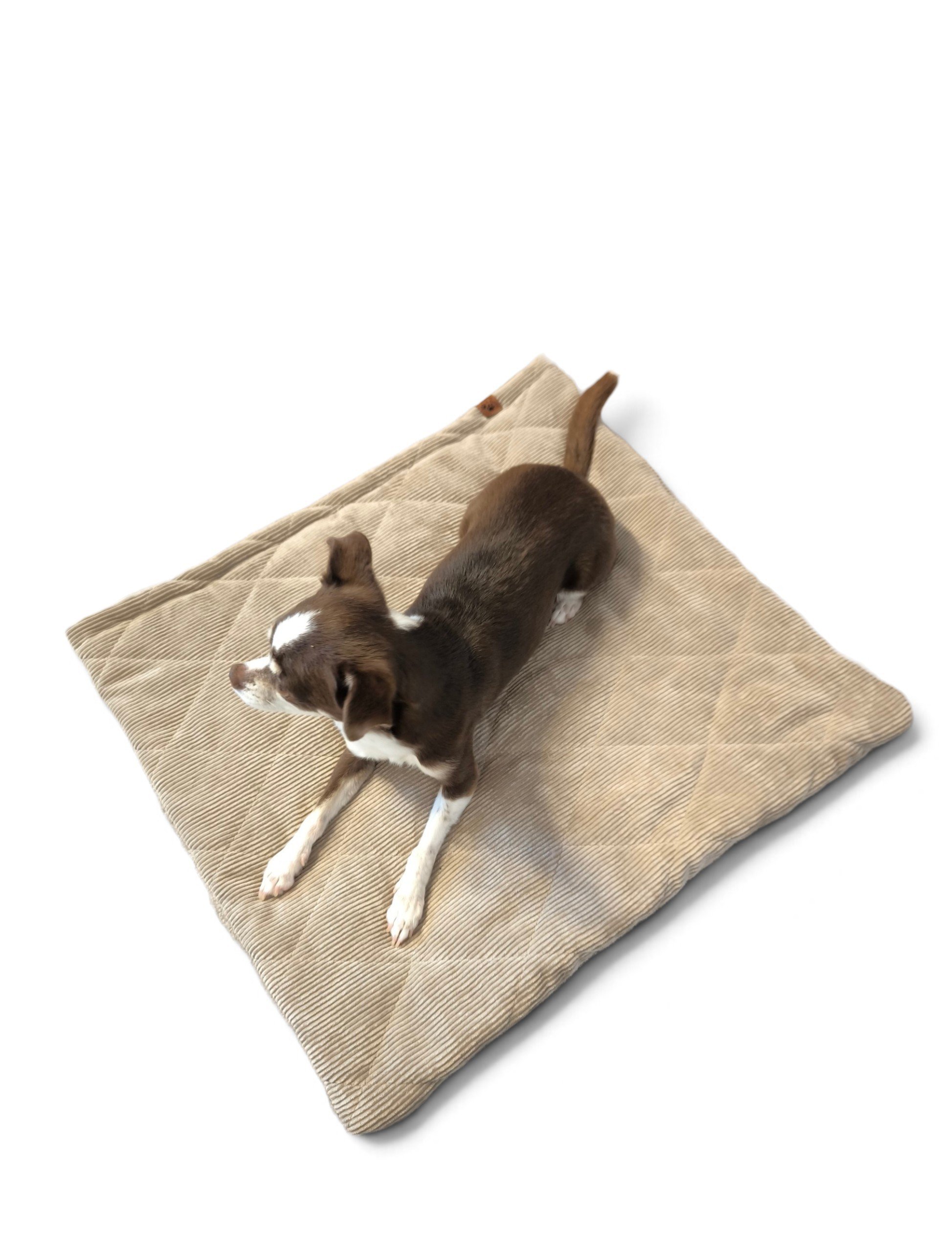 Kuschelsack | Cord Sand – Bild 2