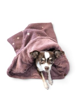 Kuschelsack | Blümchen Violett