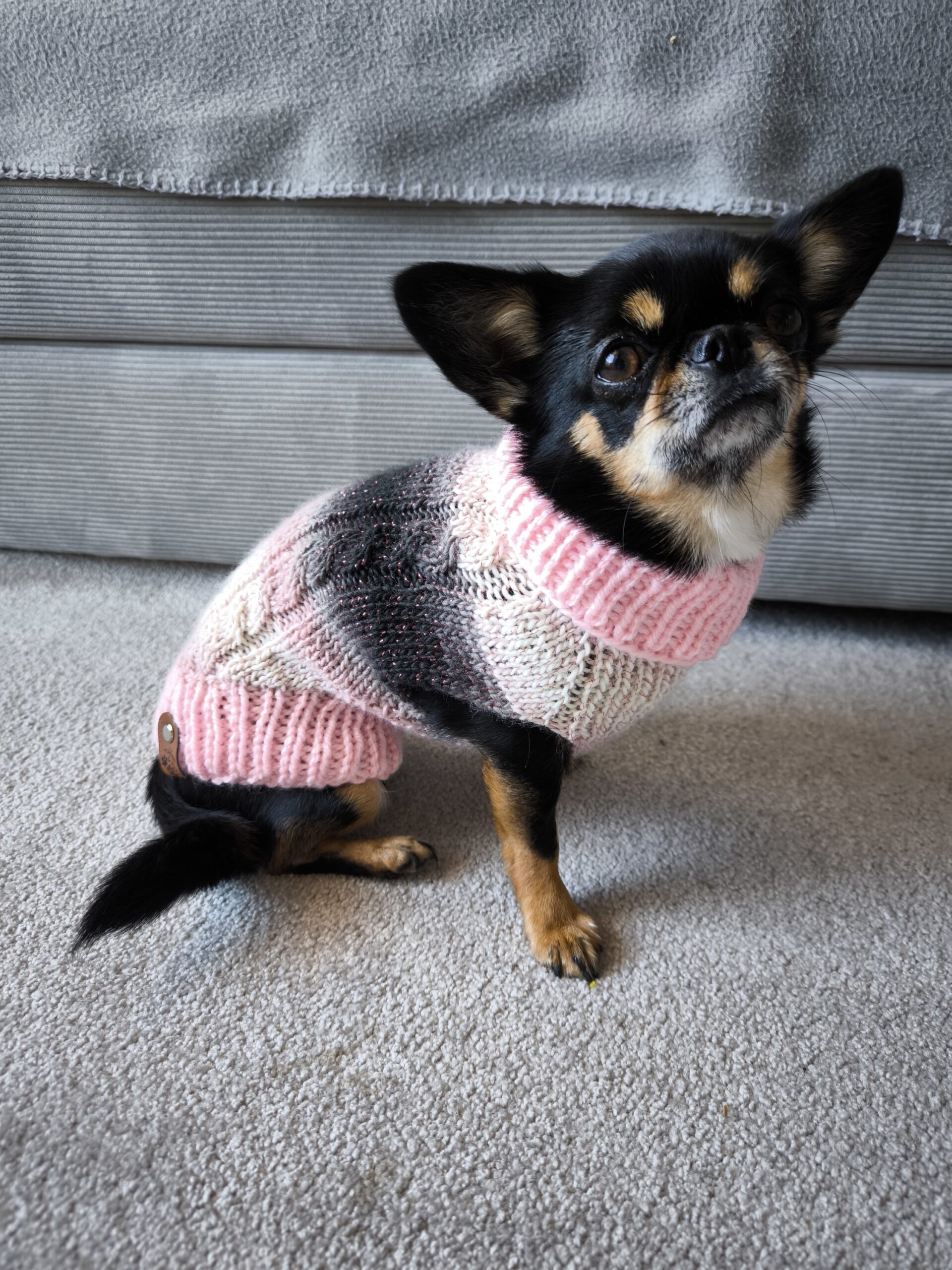 Hundepullover mit Rollkragen für Holly | RL27/28 – Bild 3